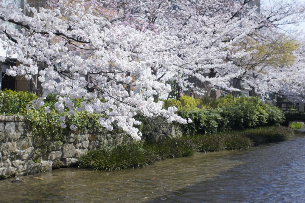 Jeugiya Villa Kyoto Buitenkant foto